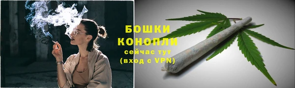 сатива Абаза