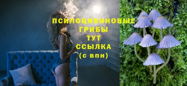 МДПВ Каменногорск