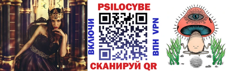 Псилоцибиновые грибы GOLDEN TEACHER  Бирюсинск 